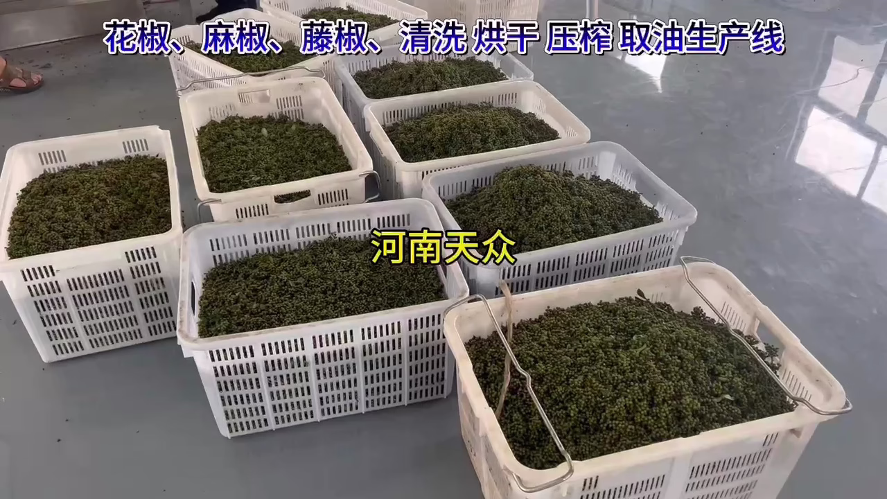 花椒麻椒藤椒清洗壓榨取油生產(chǎn)線(xiàn)